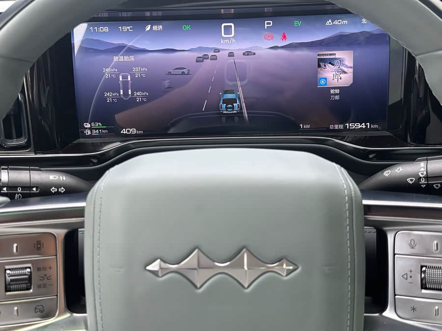 FangChengBao Leopard 5 2024 car image #13