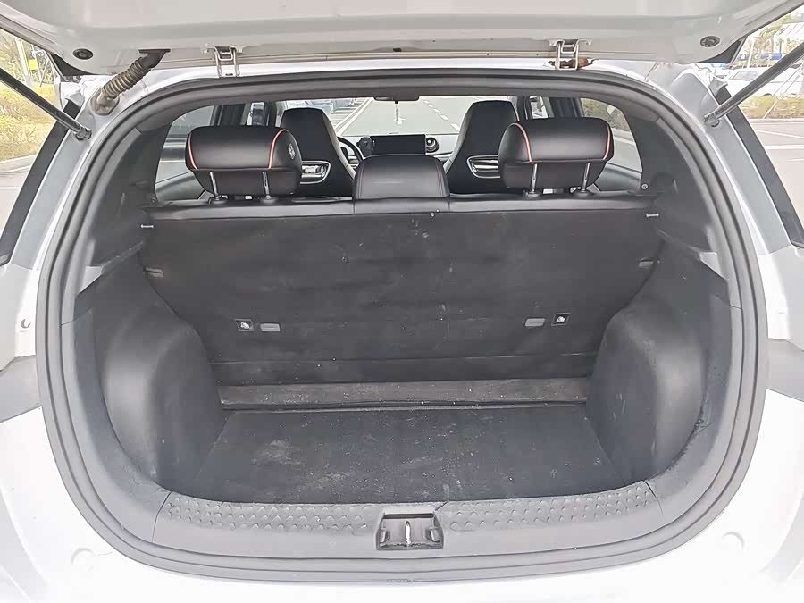 BYD Dolphin 2021 imagen de coche #13