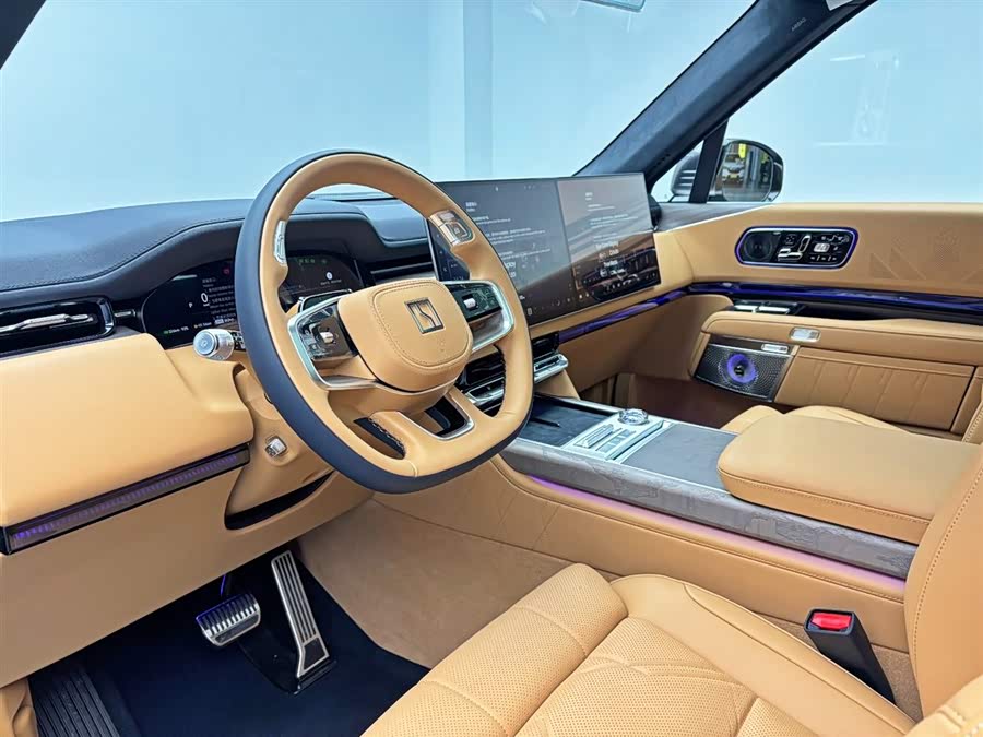 极氪 极氪9X 2026 汽车图片 #13