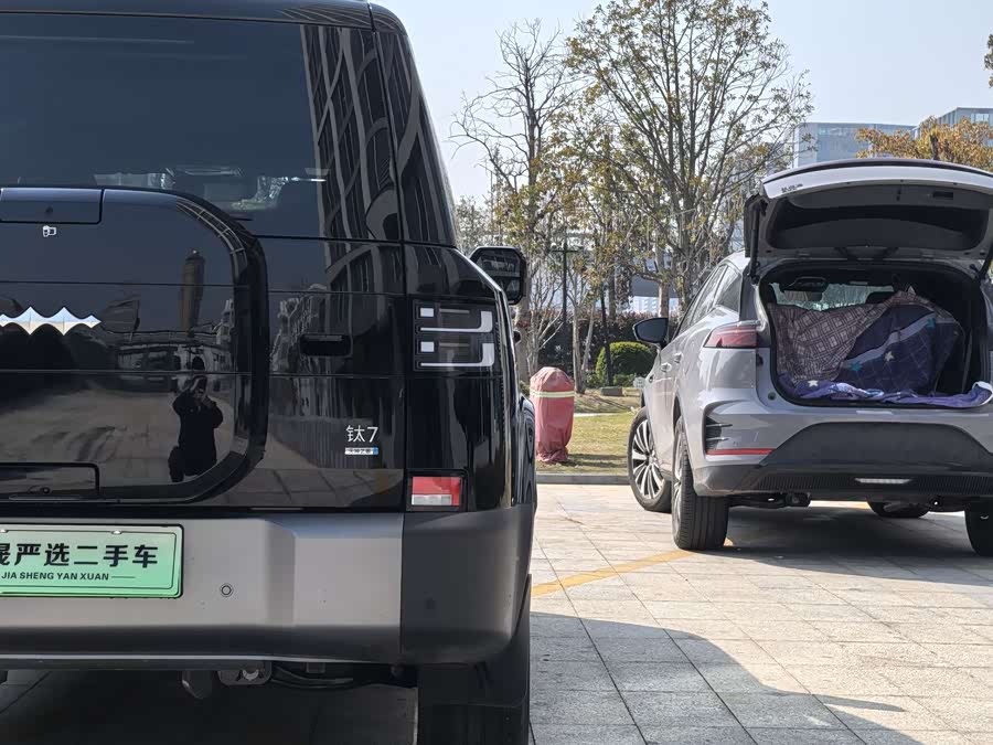 FangChengBao Tiger 7 2025 immagine di auto #13