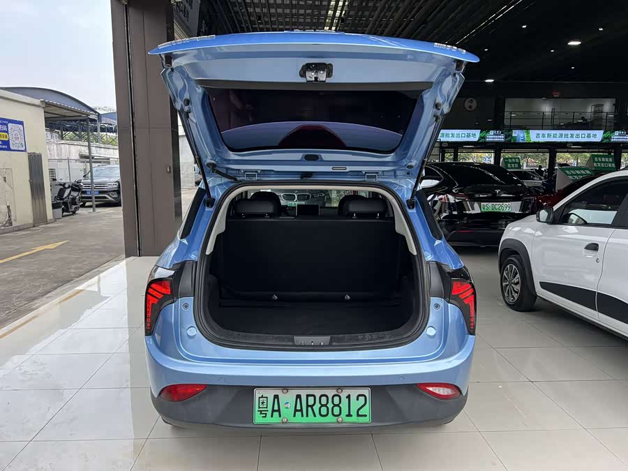 Neta V 2022 imagen de coche #13