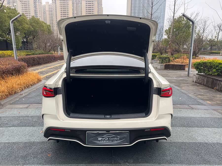 BYD Tang New Energy 2022 car image #13