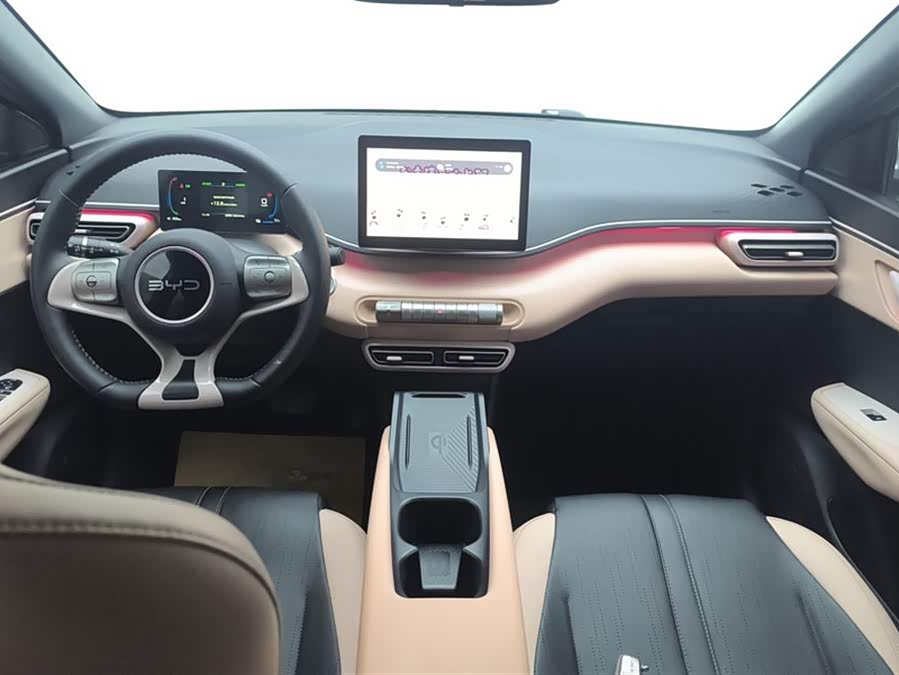 BYD Seagull 2024 immagine di auto #13