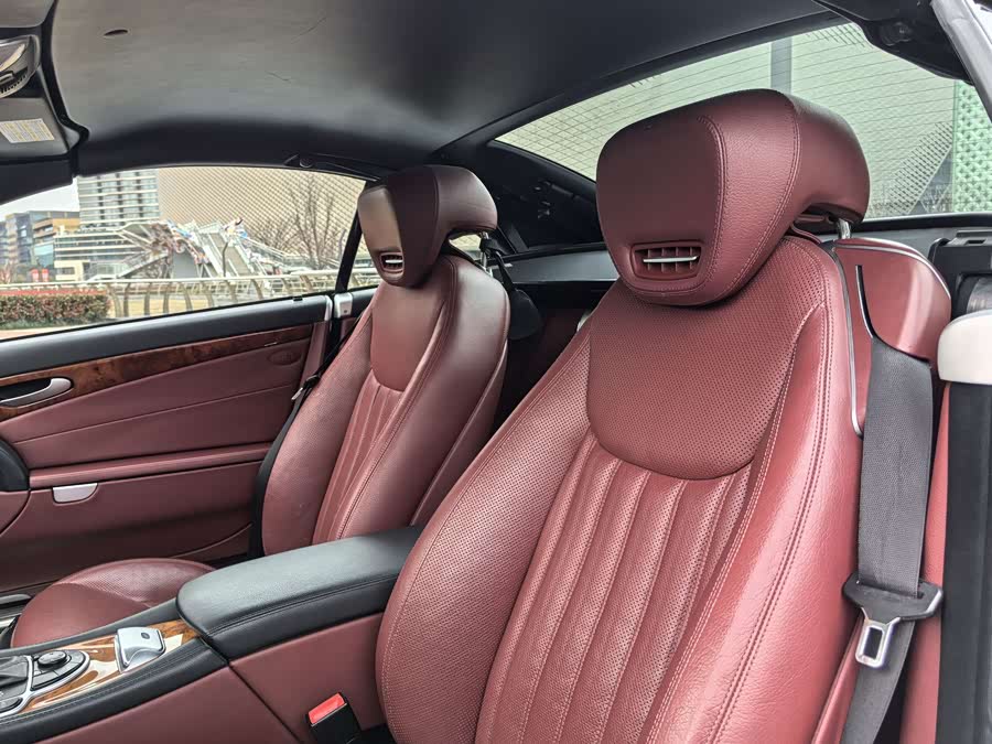 Mercedes-Benz SL Class 2010 immagine di auto #13