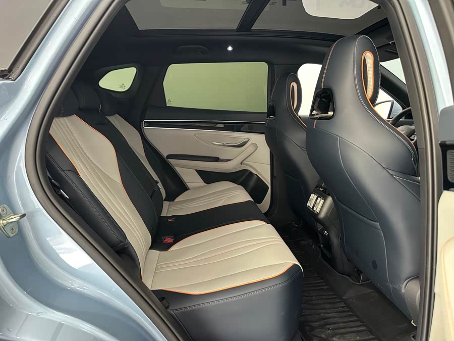 BYD Song Plus New Energy 2024 immagine di auto #13