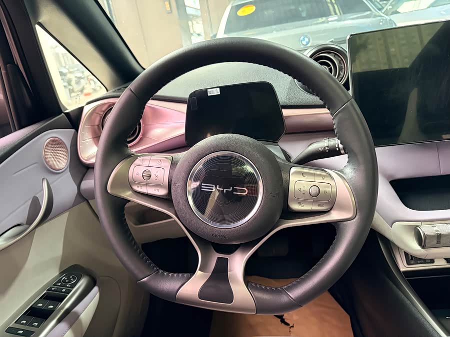 BYD Dolphin 2022 imagem de carro #13