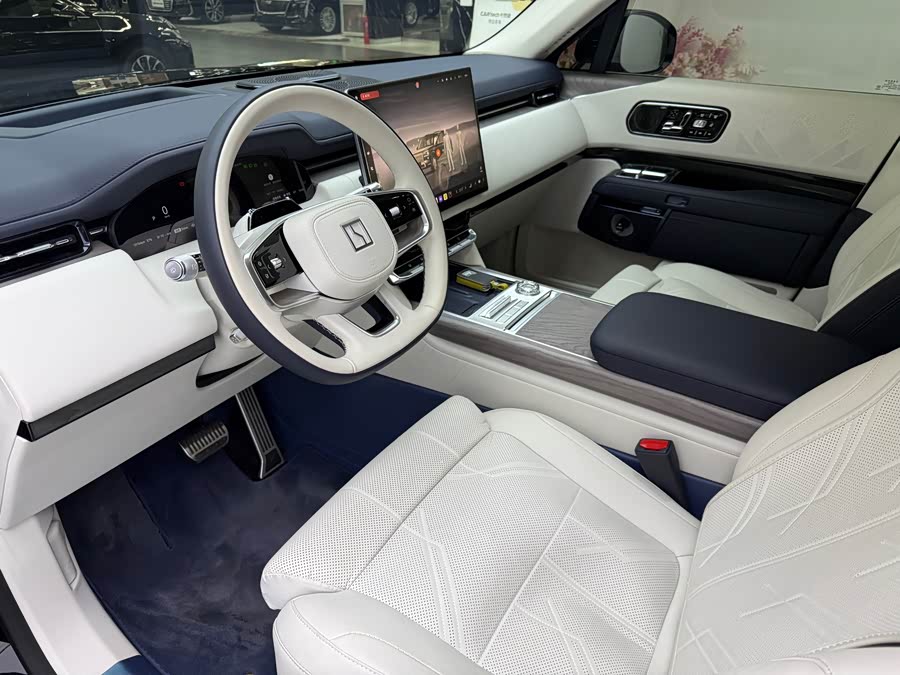 极氪 极氪9X 2025 汽车图片 #13