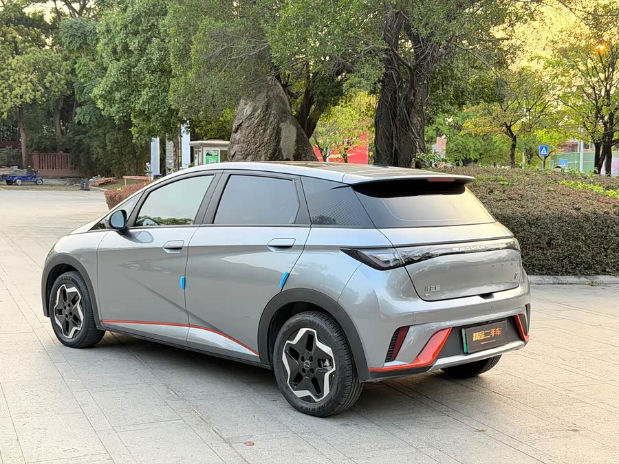 BYD Dolphin 2023 imagem de carro #13