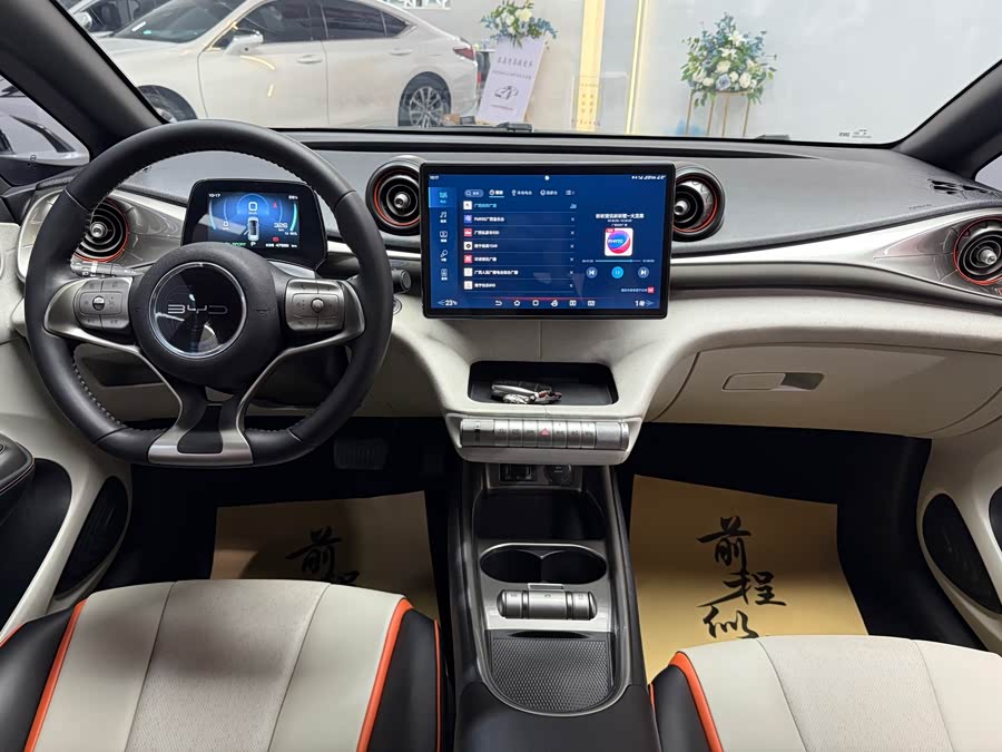 BYD Dolphin 2023 imagem de carro #13