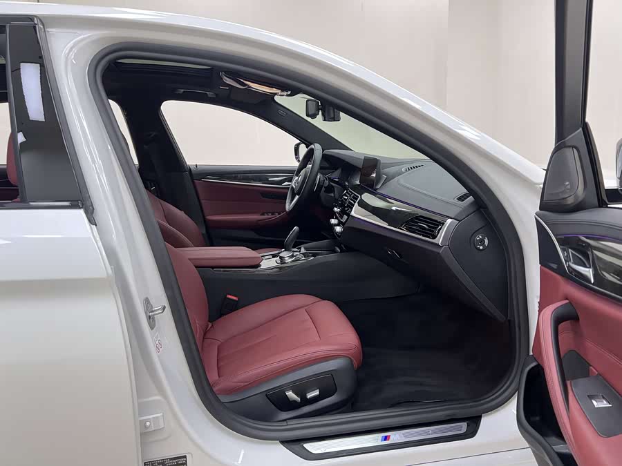 BMW 5 Series 2019 car image #13