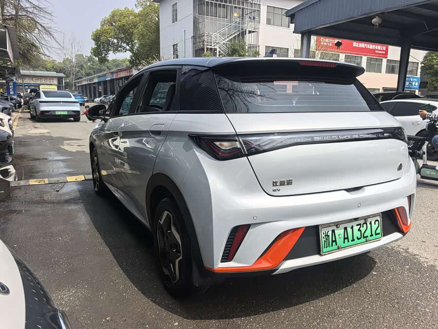 BYD Dolphin 2021 imagem de carro #13