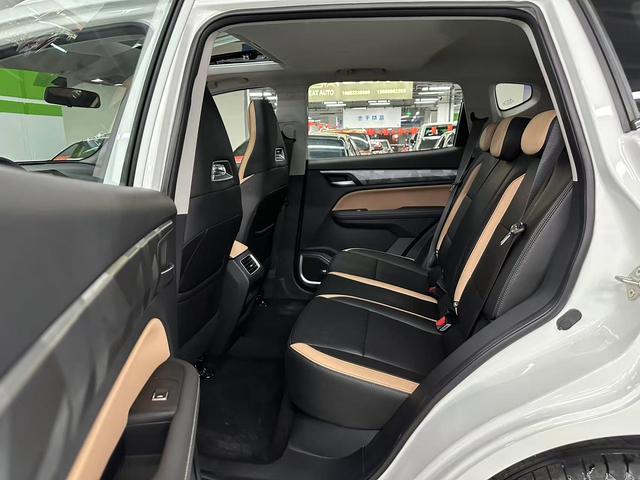 GEELY OkavangoPRO 2024 car image #13