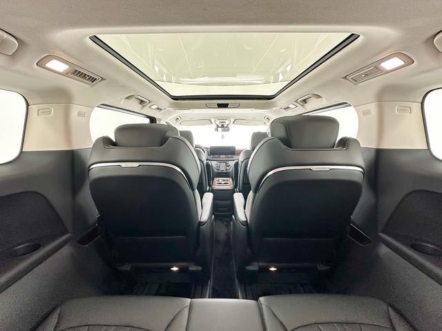 HongQi HQ9 2023 car image #13