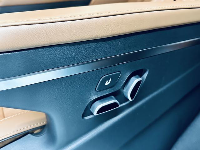 HongQi HQ9 2023 #13 HongQi HQ9 2023 car image #13