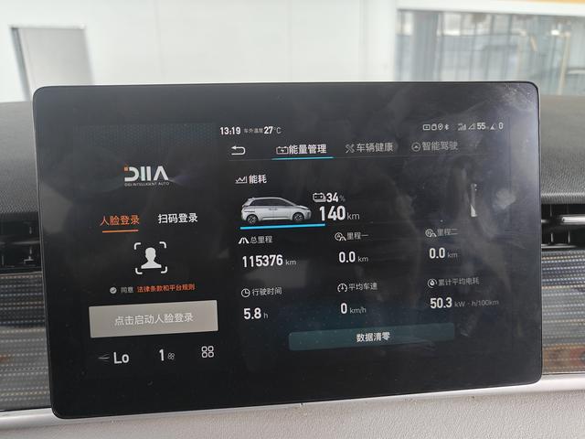 BYD D1 2021 car image #13