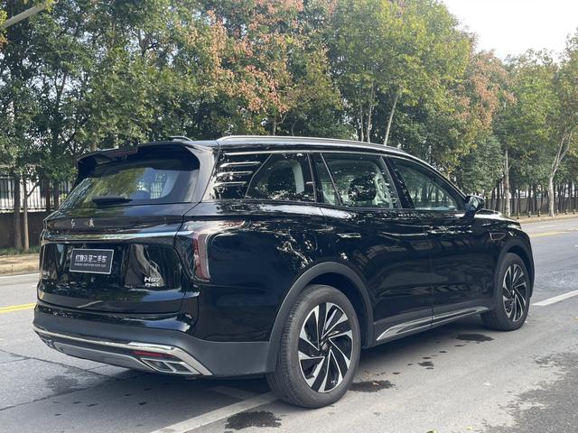 HongQi HS7 PHEV 2024 immagine di auto #13