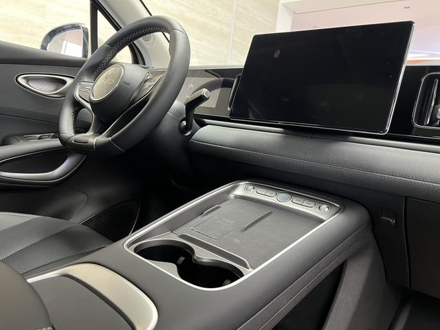 BYD Sea Lion 05 EV 2025 car image #13