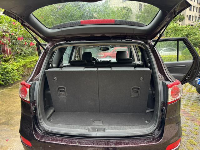 Hyundai Santa Fe Classic 2010 car image #13