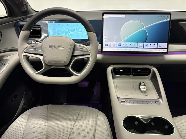 BYD Sea Lion 06 New Energy 2025 car image #13