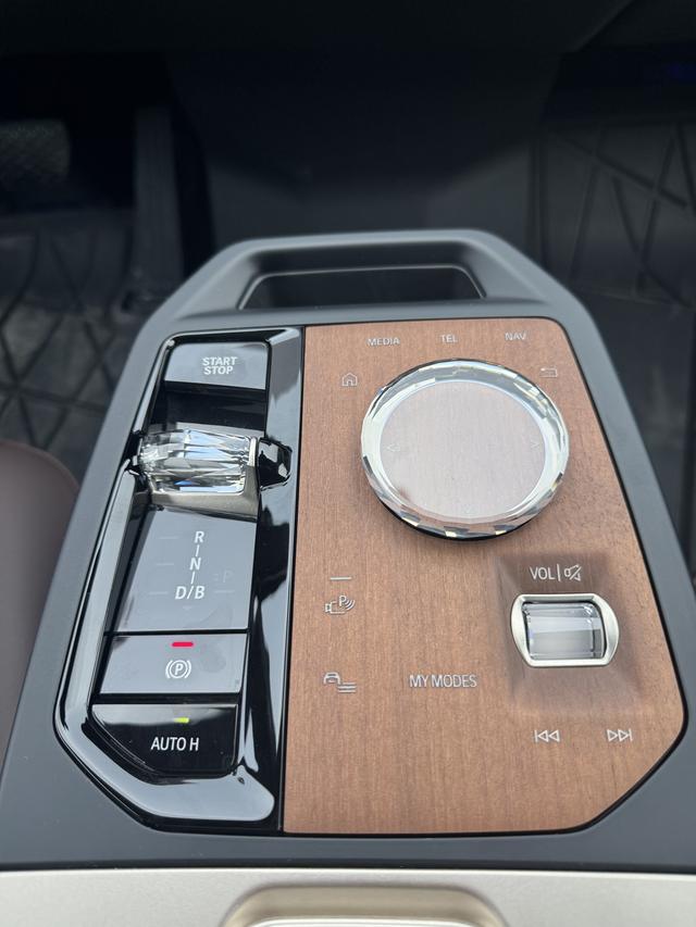 BMW iX car image #13