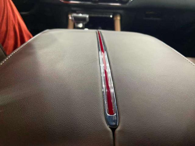 HongQi GuoYao immagine di auto #13