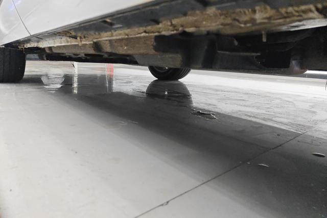 HongQi HS3 2023 immagine di auto #13