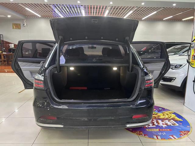 Denza DENZA 2016 изображение автомобиля #13