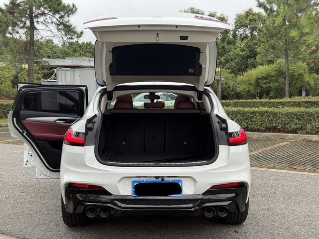 BMW X4 2021 immagine di auto #13