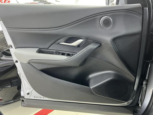 BYD Sea Lion 05 DM-i 2025 car image #13