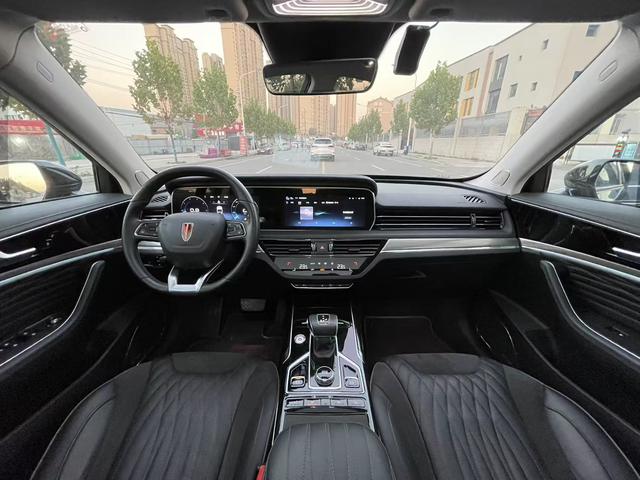 HongQi ShengShi 2021 #13 HongQi ShengShi 2021 car image #13