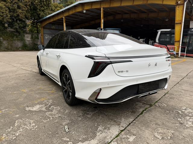 HongQi ShengShi 2023 #13 HongQi ShengShi 2023 car image #13