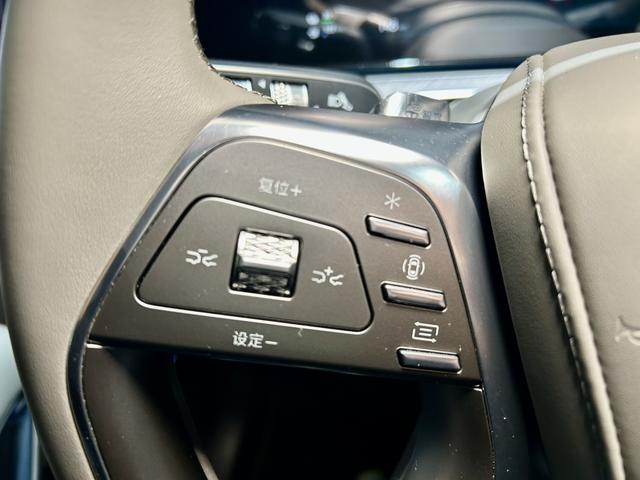 Denza N9 2025 car image #13