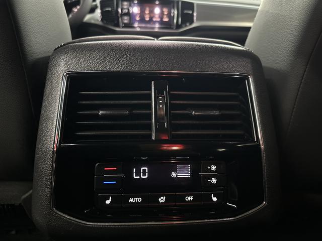 Volkswagen Teramont 2019 car image #13