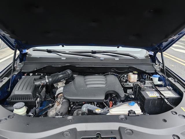 Great Wall Poer 2021 #13 Great Wall Poer 2021 car image #13