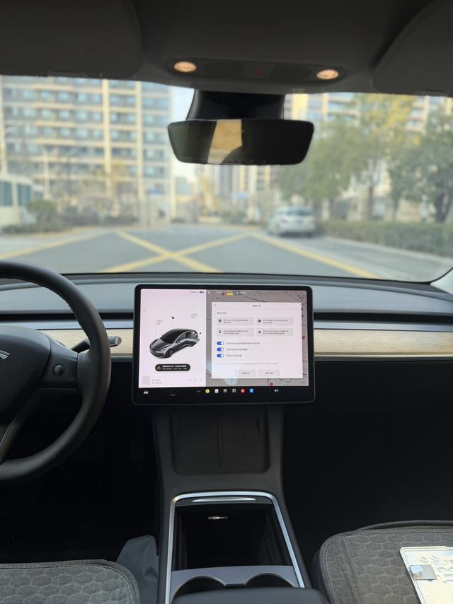 Tesla Model 3 2020 car image #13