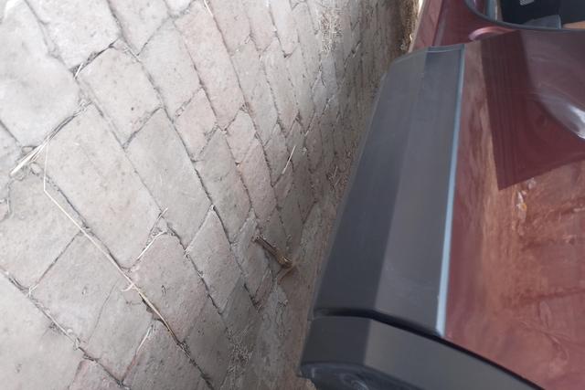 Soueast DX7 2015 car image #13