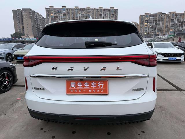 Haval 2021 immagine di auto #13