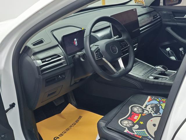 BYD Qin Pro New Energy 2019 car image #13