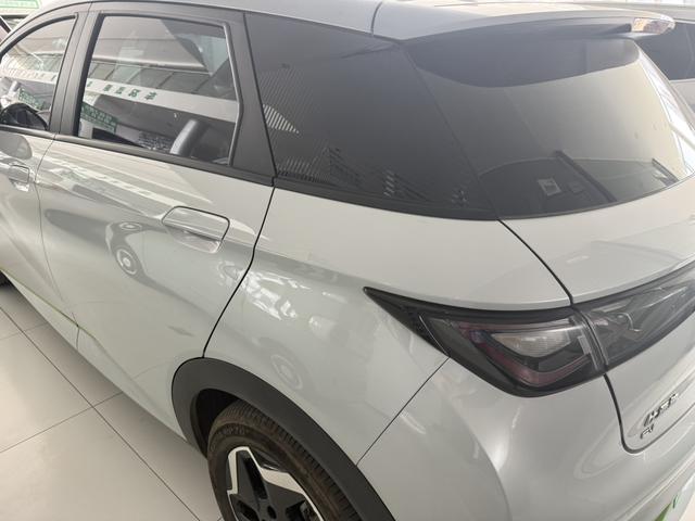 BYD Dolphin 2022 #13 BYD Dolphin 2022 car image #13