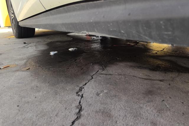 BYD Seal 06 New Energy 2024 car image #13