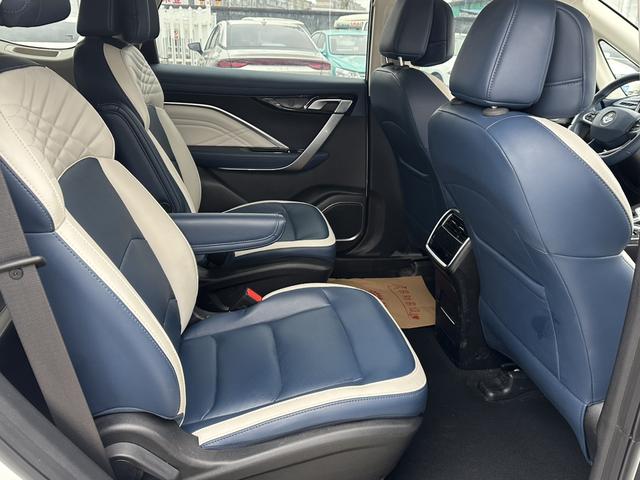 睿蓝汽车 枫叶80v PRO 2024 汽车图片 #13