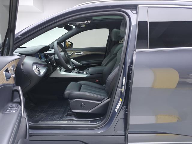 Denza 2021 imagem de carro #13