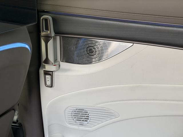 Denza D9 2023 imagem de carro #13