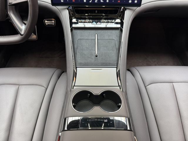 Denza 2024 imagem de carro #13