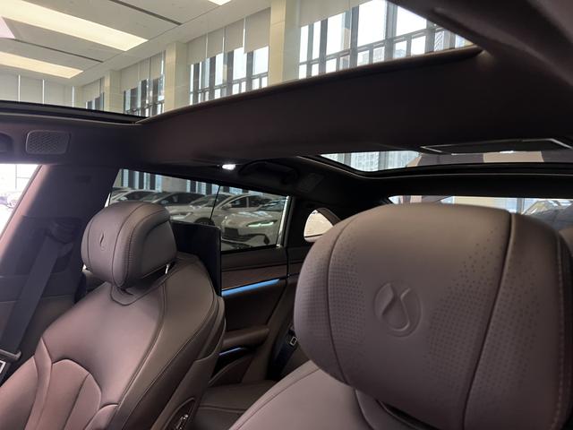 Denza 2024 immagine di auto #13