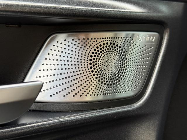 Tank 300 2022 car image #13