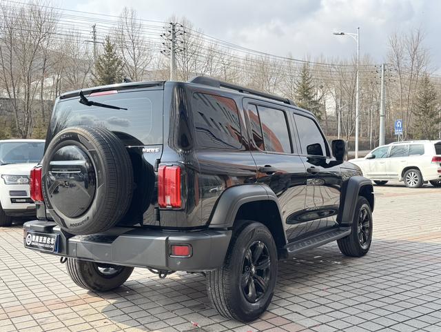 Tank 300 2023 car image #13