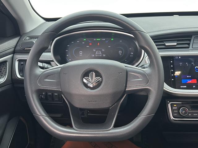 睿蓝汽车 枫叶60s 2022 汽车图片 #13