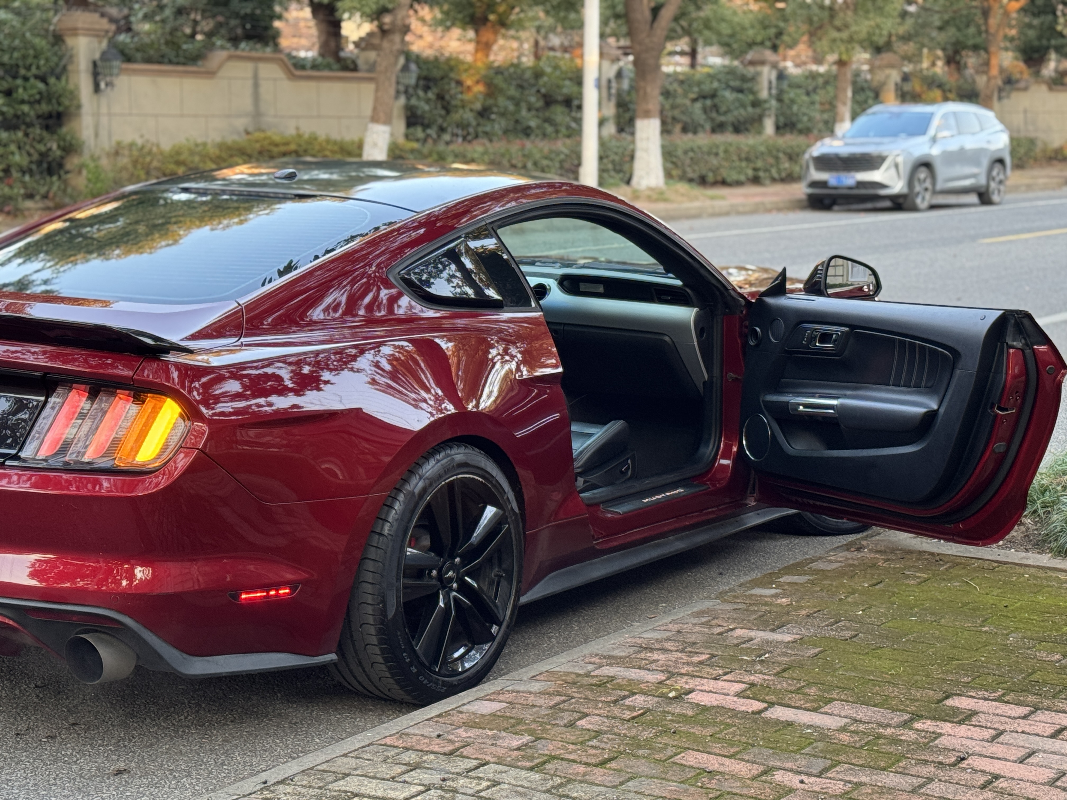 Ford Mustang 2017 car image #13