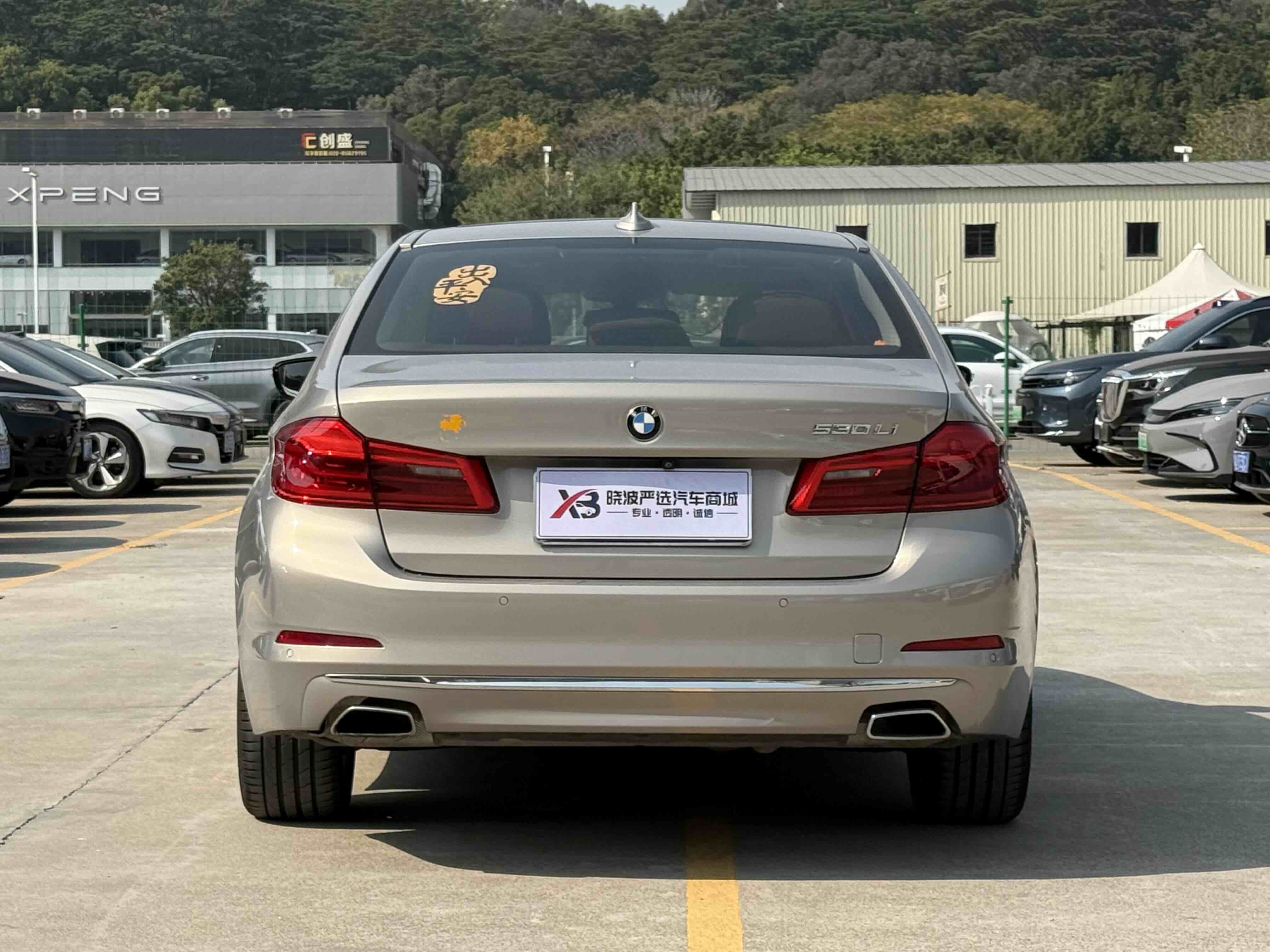 BMW 5 Series 2018 car image #13